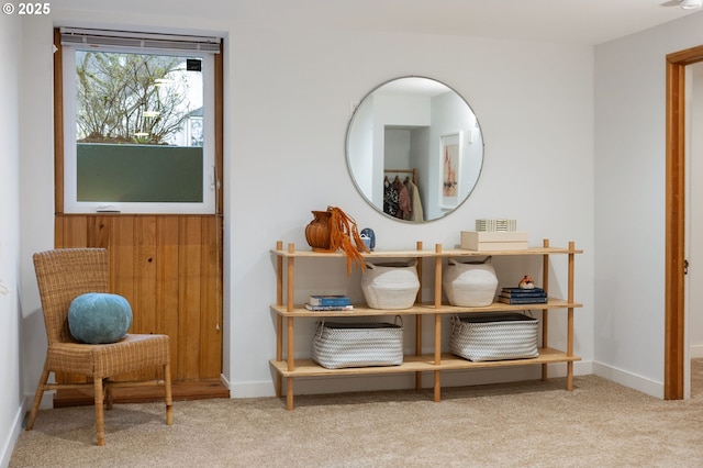 living area featuring carpet and baseboards