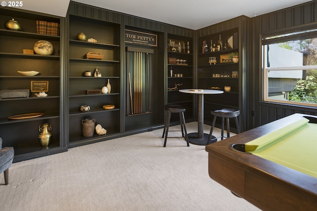 bar area with light carpet