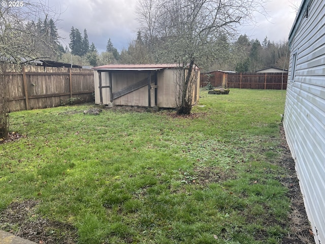 view of yard featuring a shed