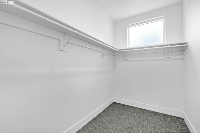 spacious closet with dark colored carpet