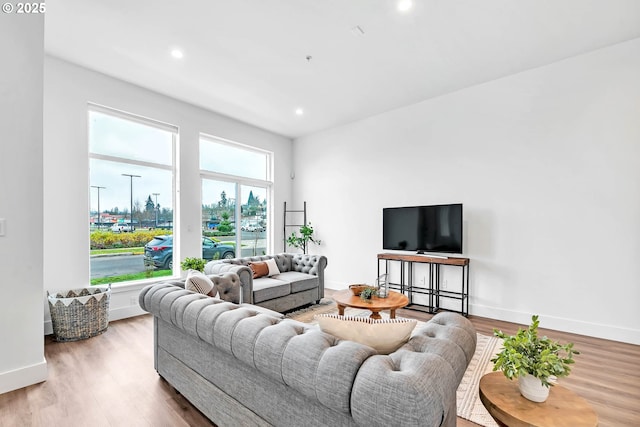 living room with wood-type flooring