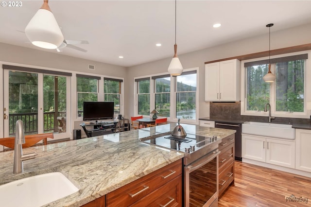 46769 Goodpasture Rd, Vida, OR 97488 - kitchen with electric range, dishwasher, a sink, and light stone countertops