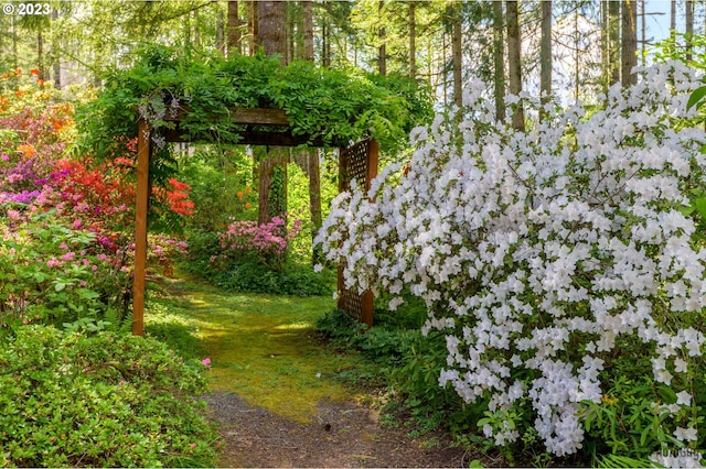 46769 Goodpasture Rd, Vida, OR 97488 - view of yard