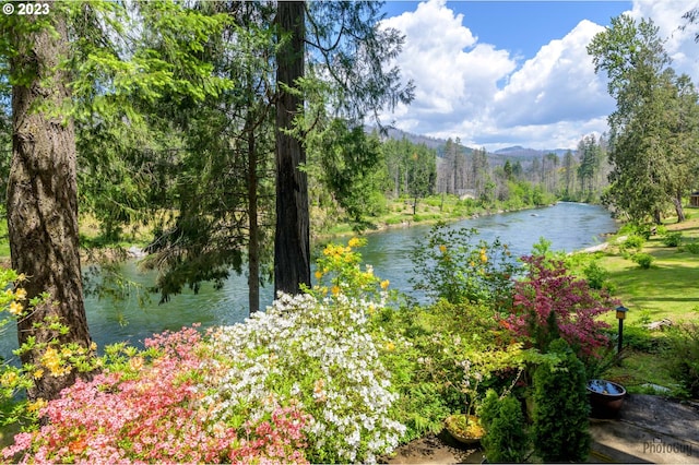 46769 Goodpasture Rd, Vida, OR 97488 - water view with a forest view and a mountain view