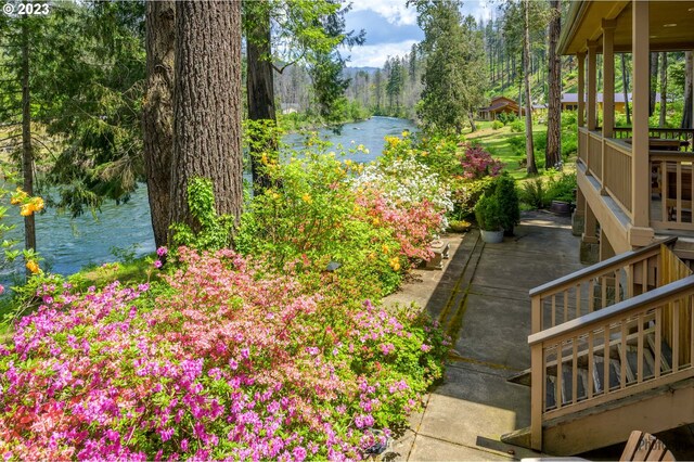 46769 Goodpasture Rd, Vida, OR 97488 - view of yard with a water view and a patio area