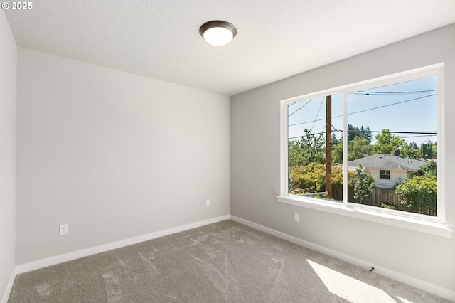 carpeted spare room with baseboards and a textured ceiling