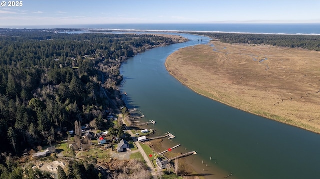 bird's eye view with a water view and a wooded view