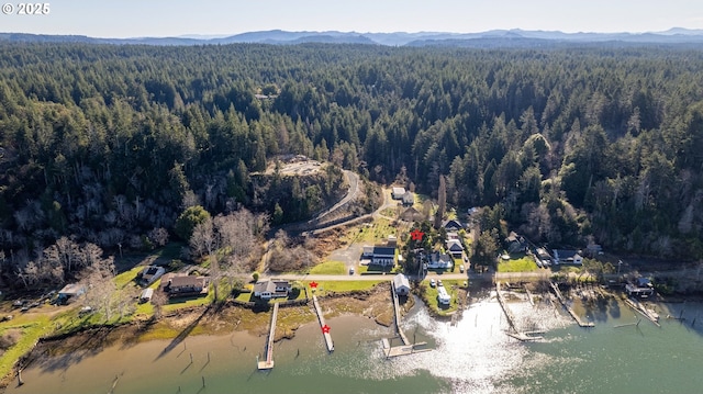 bird's eye view featuring a wooded view and a water and mountain view