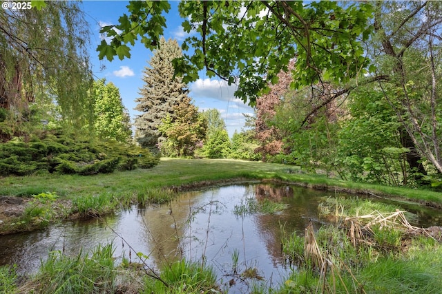 62436 Mink Ln, Summerville, OR 97876 - water view