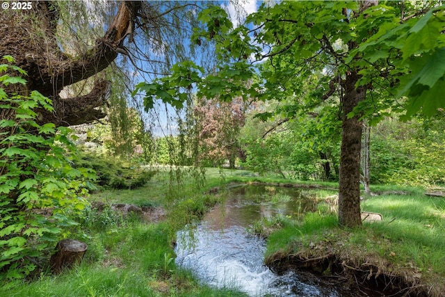 62436 Mink Ln, Summerville, OR 97876 - view of local wilderness
