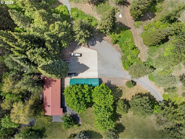 62436 Mink Ln, Summerville, OR 97876 - view from above of property