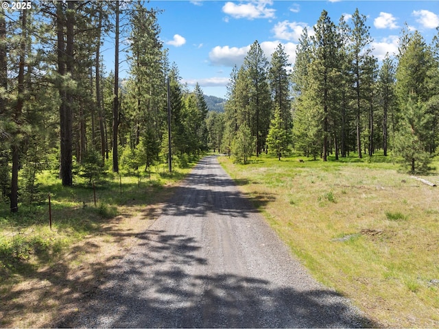 62436 Mink Ln, Summerville, OR 97876 - view of dirt / gravel road featuring a wooded view