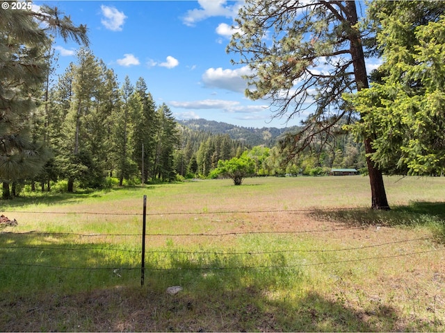 62436 Mink Ln, Summerville, OR 97876 - view of yard featuring a forest view