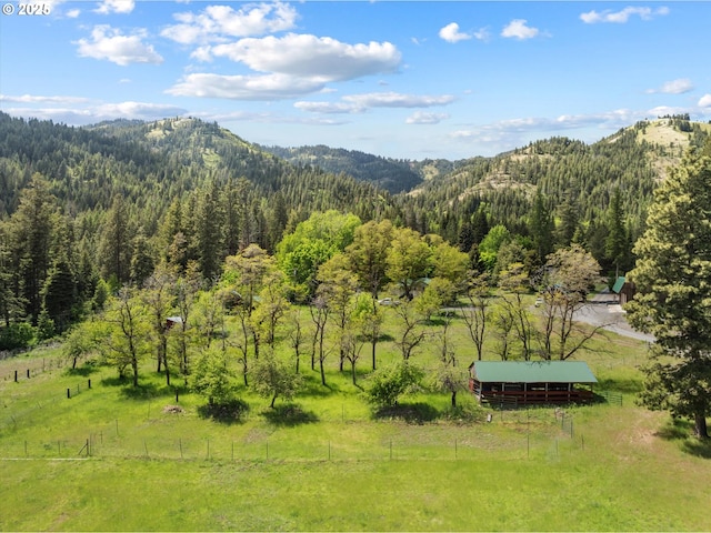 62436 Mink Ln, Summerville, OR 97876 - view of mountain backdrop with a forest and rural landscape