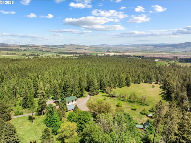 62436 Mink Ln, Summerville, OR 97876 - drone / aerial view of a mountain backdrop and a forest