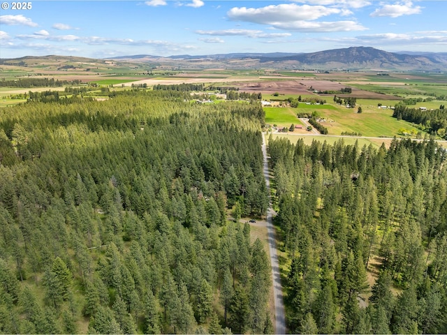 62436 Mink Ln, Summerville, OR 97876 - drone / aerial view of a mountain backdrop