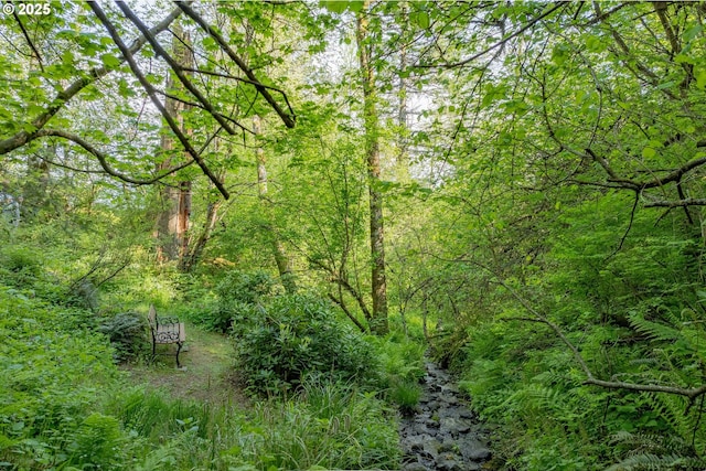35919 NE 25th Cir, Washougal, WA 98671 - view of woods