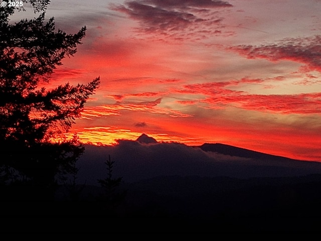 35919 NE 25th Cir, Washougal, WA 98671 - view of mountain backdrop