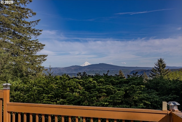 35919 NE 25th Cir, Washougal, WA 98671 - view of mountain background