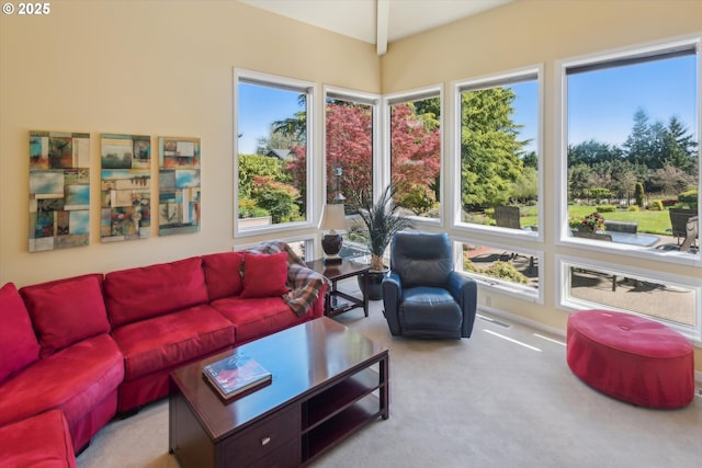 sunroom featuring carpet
