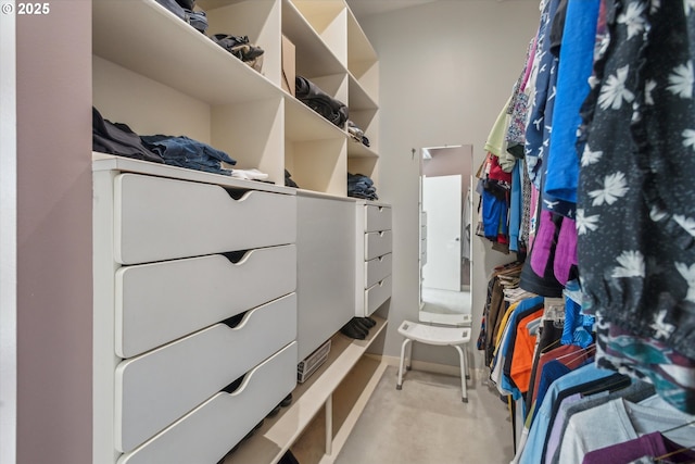 view of spacious closet