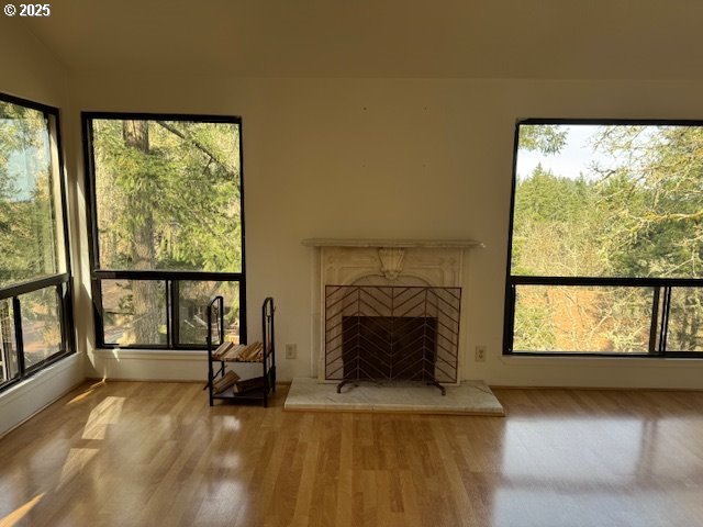 unfurnished living room featuring a fireplace with raised hearth, plenty of natural light, and wood finished floors