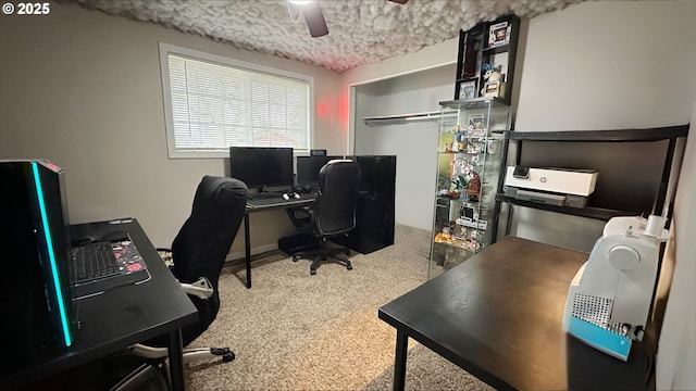 home office featuring a ceiling fan and carpet flooring