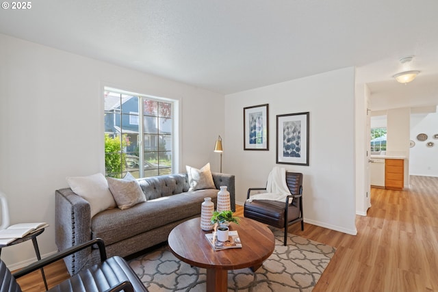 living room featuring light wood-style floors, baseboards, and a wealth of natural light