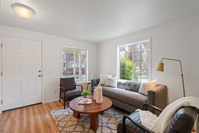living room with light wood finished floors