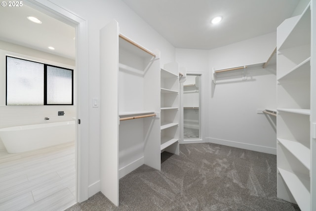 559 Meadows Dr, Manzanita, OR 97130 - spacious closet with carpet