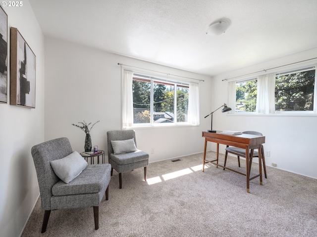 3290 Fillmore St, Eugene, OR 97405 - office area with carpet floors