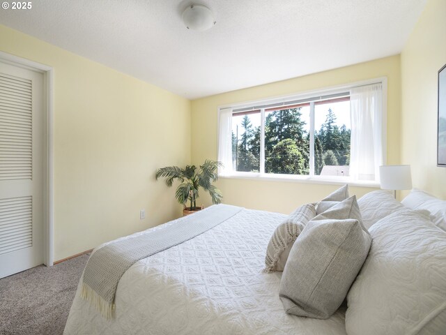 3290 Fillmore St, Eugene, OR 97405 - bedroom with carpet floors