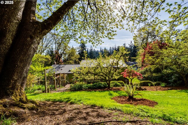 3290 Fillmore St, Eugene, OR 97405 - view of grassy yard