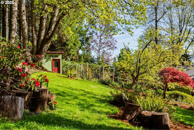 3290 Fillmore St, Eugene, OR 97405 - view of grassy yard with a shed
