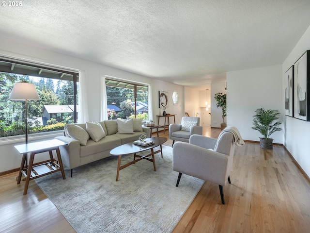 3290 Fillmore St, Eugene, OR 97405 - living area with light wood finished floors and a textured ceiling