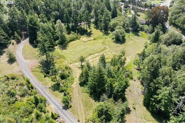 95245 N Bank Rogue River Rd, Gold Beach, OR 97444 - aerial overview of property's location