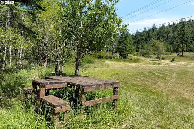 95245 N Bank Rogue River Rd, Gold Beach, OR 97444 - view of green lawn