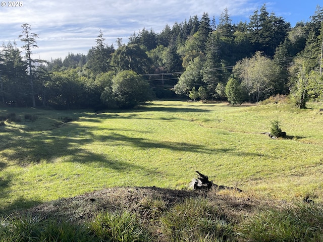95245 N Bank Rogue River Rd, Gold Beach, OR 97444 - view of green lawn with a view of trees