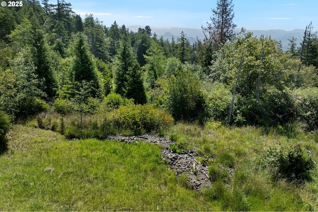 95245 N Bank Rogue River Rd, Gold Beach, OR 97444 - view of wooded area with a mountain view