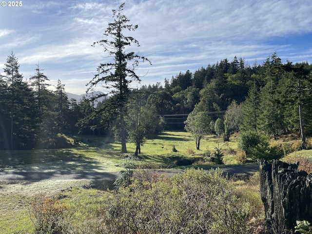 95245 N Bank Rogue River Rd, Gold Beach, OR 97444 - view of tree filled area