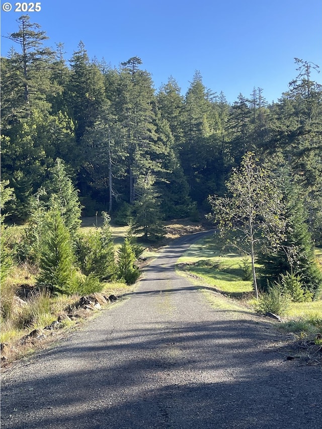 95245 N Bank Rogue River Rd, Gold Beach, OR 97444 - view of road