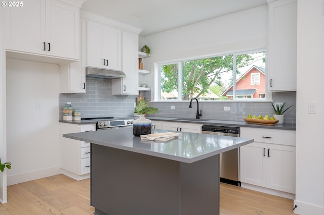 5827 NE 16th Ave, Portland, OR 97211 - kitchen featuring stainless steel appliances, a sink, under cabinet range hood, and light wood-style flooring