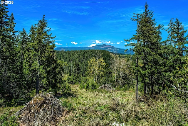 property view of mountains