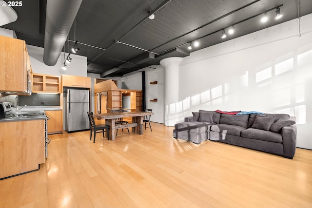 living room with rail lighting, light hardwood / wood-style flooring, and a high ceiling