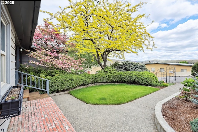 view of yard
