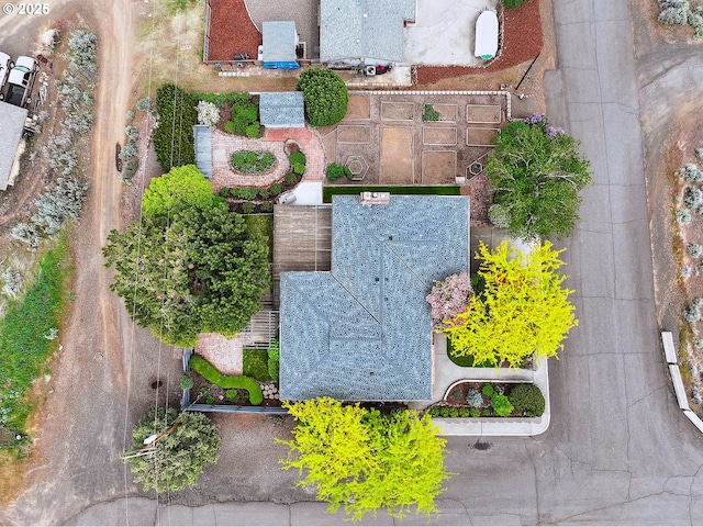 bird's eye view