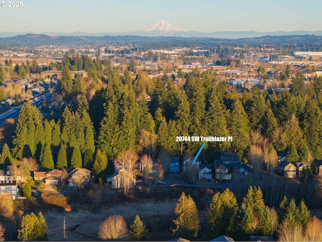 drone / aerial view with a mountain view