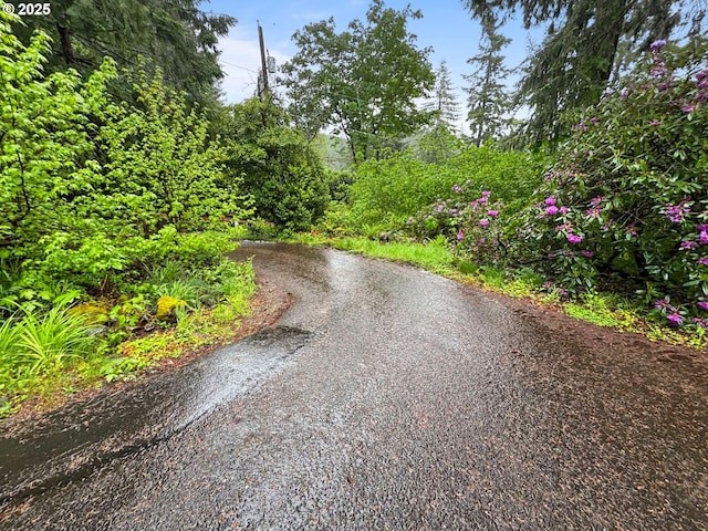 17373 SE Forest Hill Dr, Damascus, OR 97089 - view of road