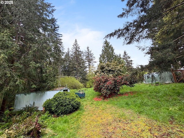 17373 SE Forest Hill Dr, Damascus, OR 97089 - view of yard