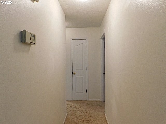 hallway with light carpet